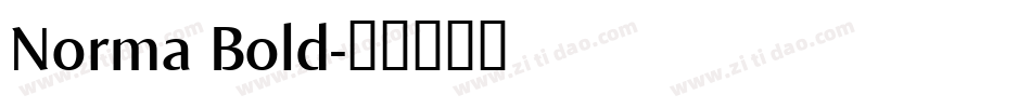 Norma Bold字体转换